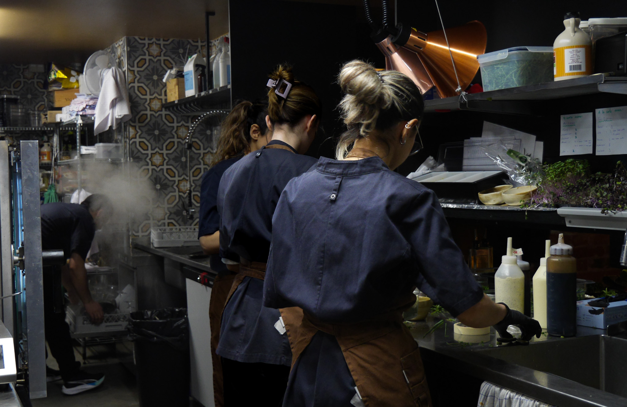 Restaurant kitchens: Denmark’s waiting rooms for foreign medical professionals 